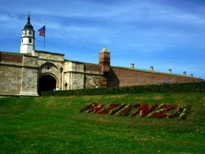 pazienza 2010